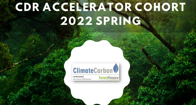 ClimateCarbon ist Teil des Carbon Removal ClimAccelerator | Pressemeldung